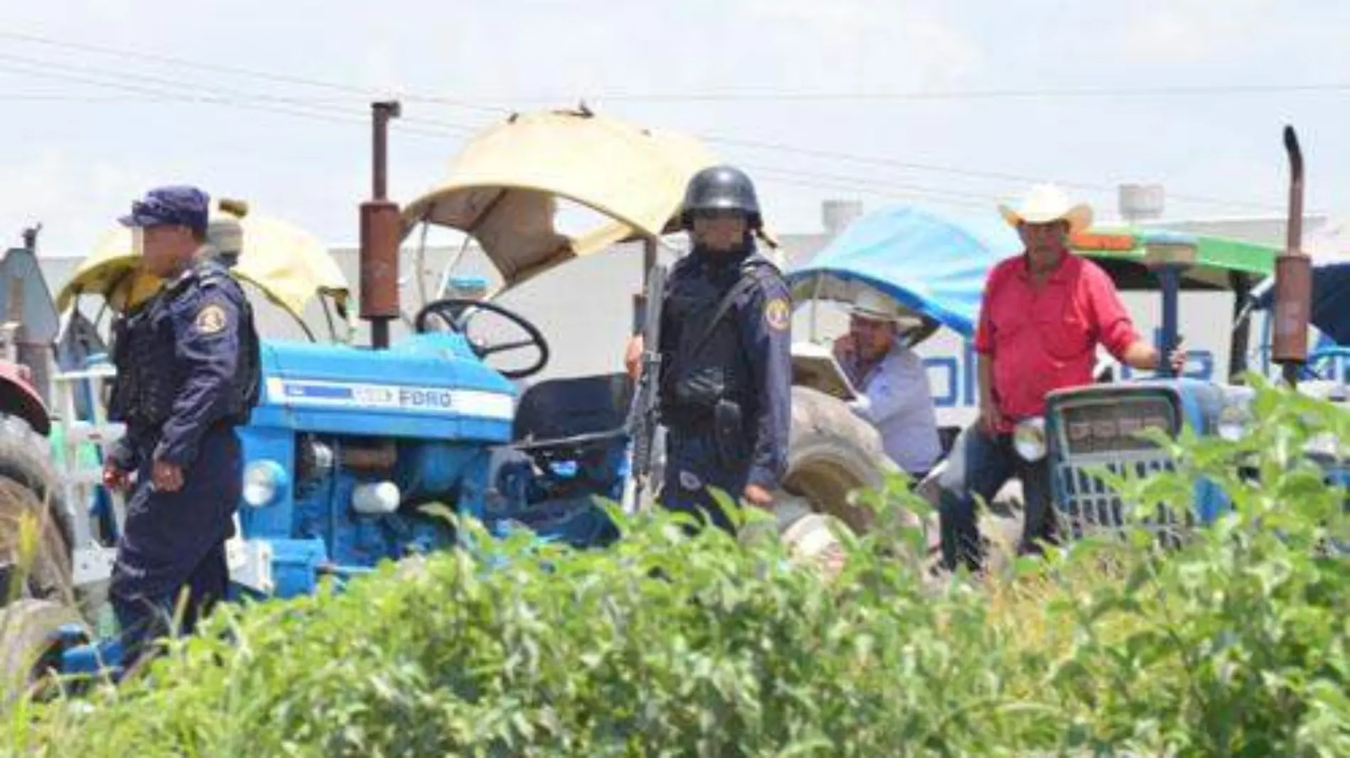 INSEGURIDAD EN  EL CAMPO (1) OK